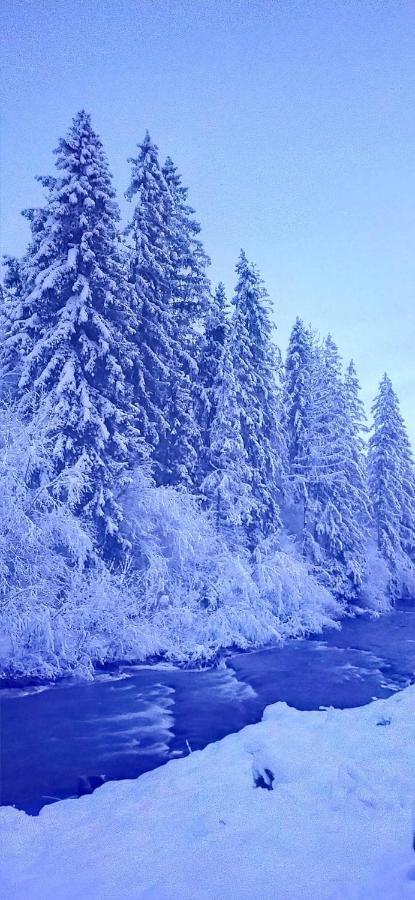 Родинна Оселя Slavske Exterior foto